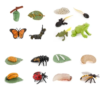 Simulare PVC Animale Ciclu de Creștere Gărgăriță de Albine Viață Figurina Broasca Modele de Acțiune de Albine Insecte Cifre Jucărie de Învățământ Pentru copii